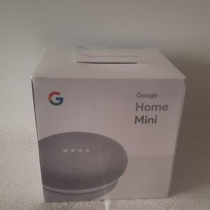 Google Home Mini in Chalk